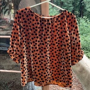Madewell Velvet Spotted Top